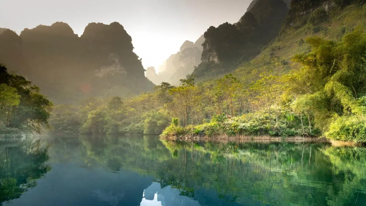 高效独特智能系统
